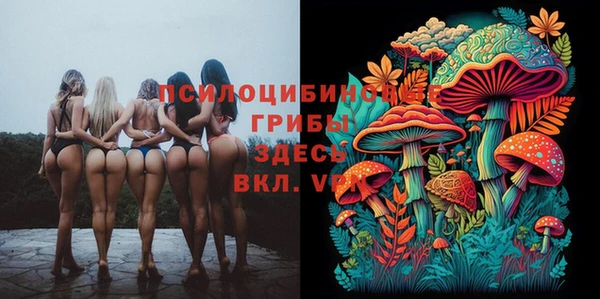 apvp Лиски