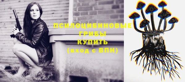 СК Ладушкин