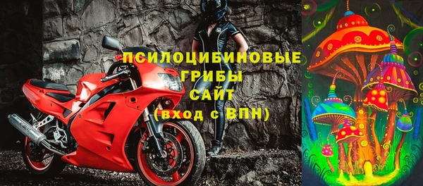 apvp Лиски