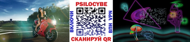 где можно купить наркотик Мичуринск блэк спрут как войти Галлюциногенные грибы Cubensis