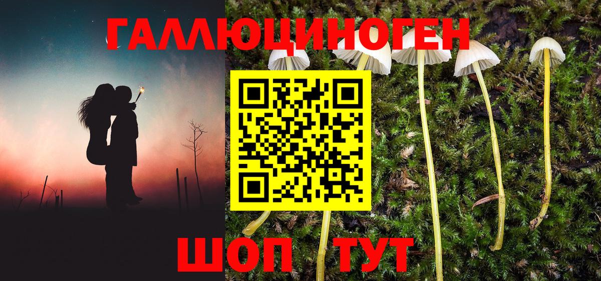 Мичуринск  Галлюциногенные грибы Psilocybine cubensis  Псилоцибиновые грибы ЛСД  Вход с VPN 